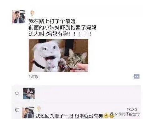 求超级搞笑的图片？