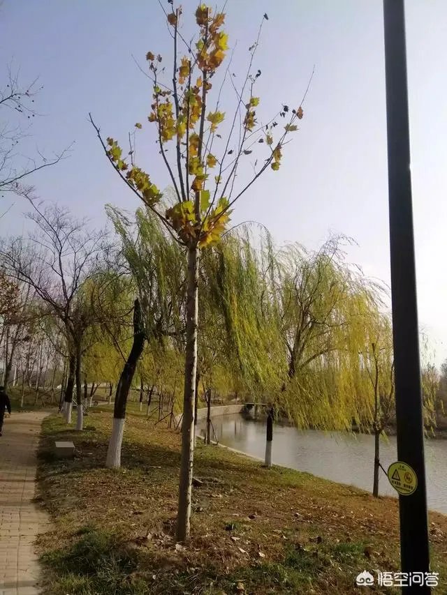 现在的90后是不是真的已经老了？