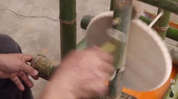 61岁中国大爷火爆外媒！靠“玩”木头炸翻热搜，惹上亿老外看傻眼：简直是宝藏爷爷！