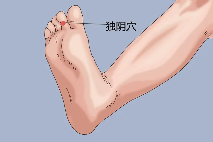 足底穴位