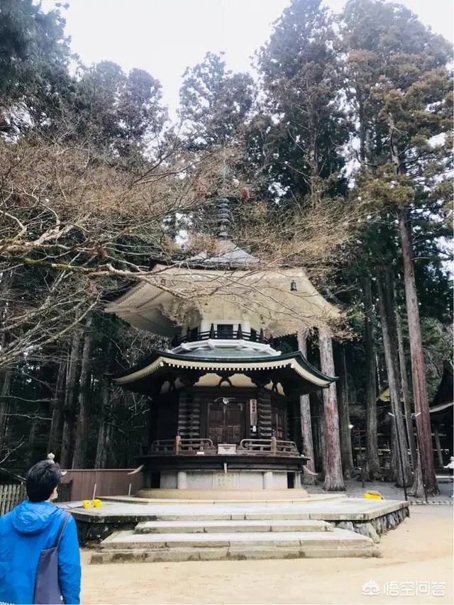 请问最近有没有去过高野山的朋友?