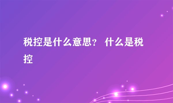 税控是什么意思？ 什么是税控