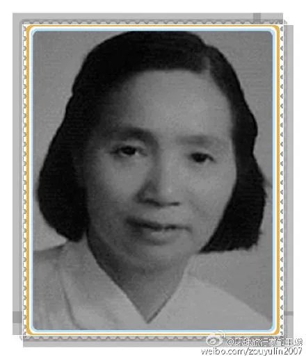 危秀英的人物简介