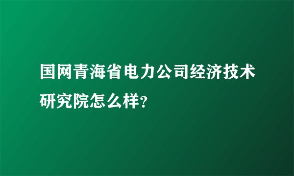 国网青海省电力公司经济技术研究院怎么样？