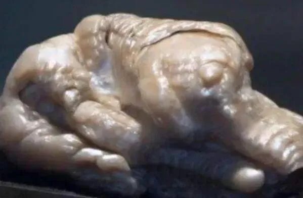 世界上最著名的十大珍珠 亚洲之珠上榜,第一是最大的天然海水珍珠