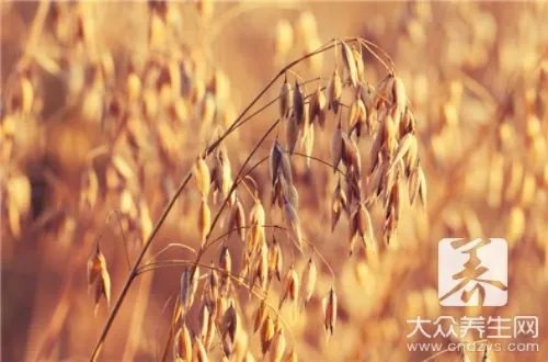 小麦麸有哪些功效？