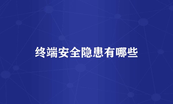终端安全隐患有哪些