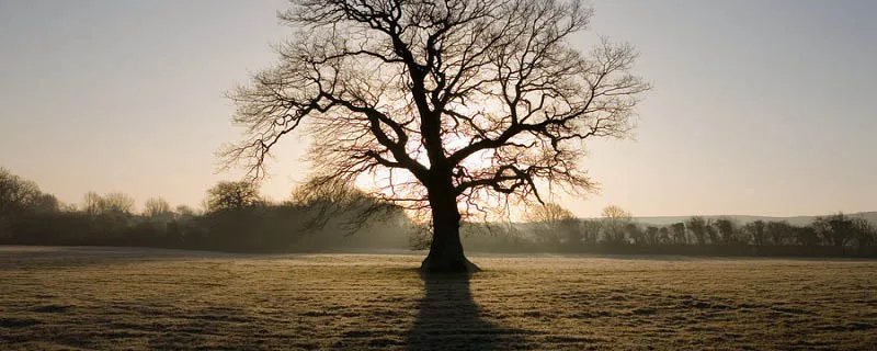 描写四季的古诗 描写四季的古诗有哪些