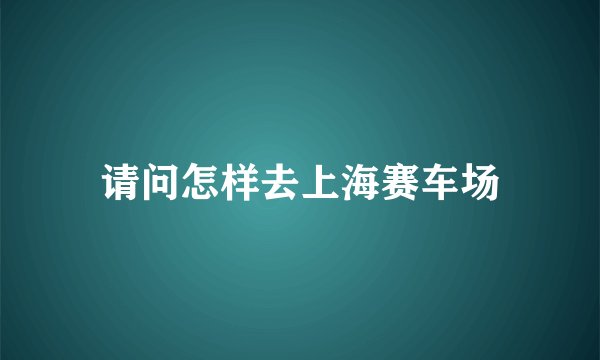 请问怎样去上海赛车场