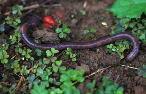 圆柱与圆筒的区别