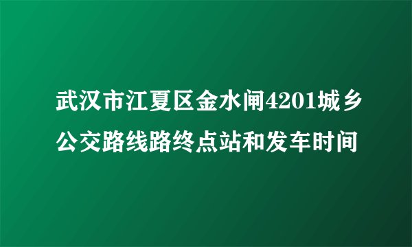 武汉市江夏区金水闸4201城乡公交路线路终点站和发车时间