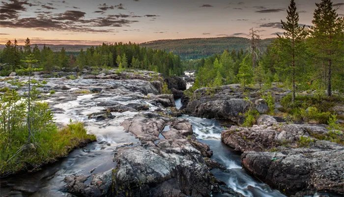 大金国是现在中国哪个省