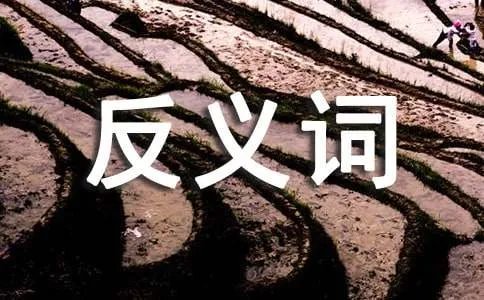 赶快的近反义词