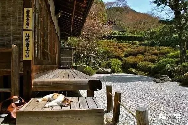 枯山水之置石造景艺术，就是这么有魅力~