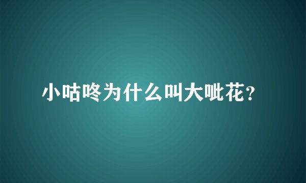 小咕咚为什么叫大呲花？