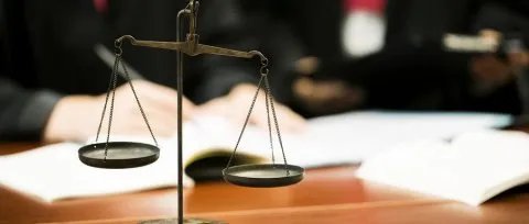 合同的条款项怎么写