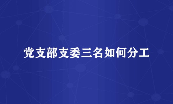 党支部支委三名如何分工