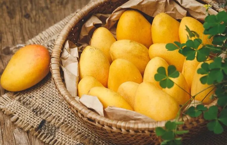 海南芒果多少钱一斤 海南芒果最新价格表