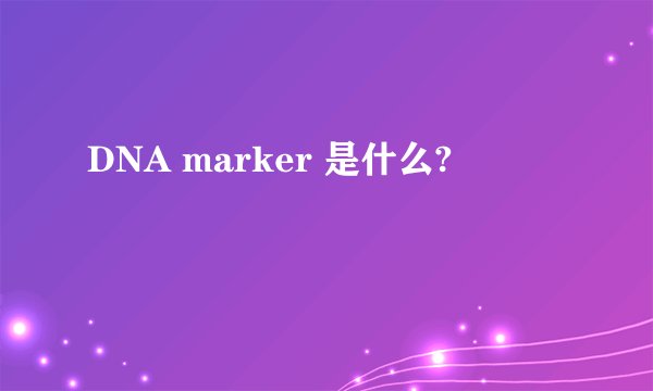 DNA marker 是什么?