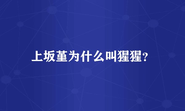 上坂堇为什么叫猩猩？