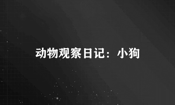 动物观察日记：小狗