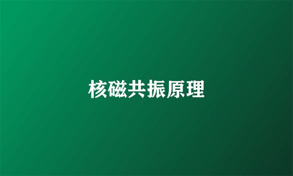 核磁共振原理