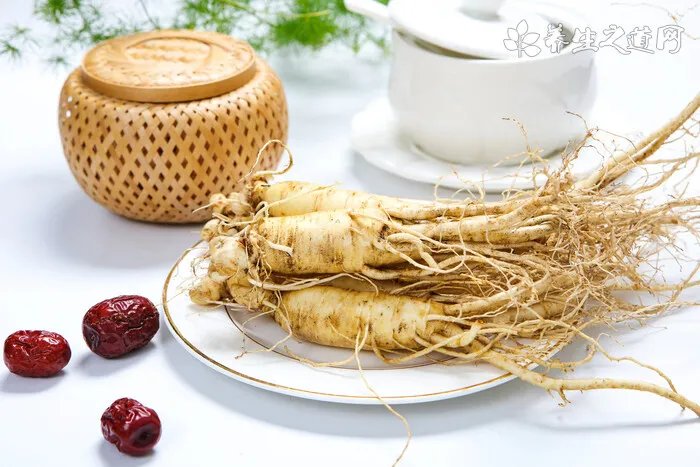 埃及猫掉毛的原因及防治