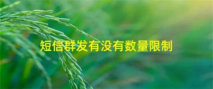 短信群发有没有数量限制