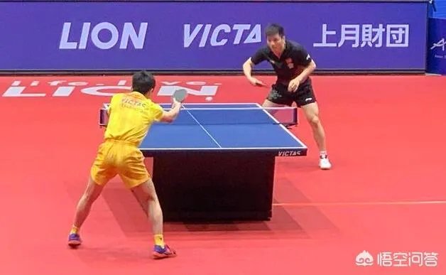 亚洲杯樊振东拒绝爆冷4-1逆转张本智和晋级决赛。双方实力差距真有这么大吗？