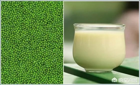 九阳豆浆机食谱大全？