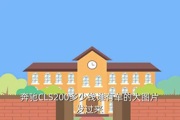 奔驰cls200，奔驰CLS200要多少钱