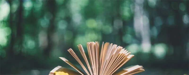 六艺指的是什么  六艺是哪六艺