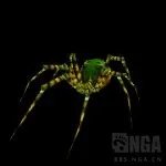 魔兽世界纳克萨玛斯蜘蛛区攻略