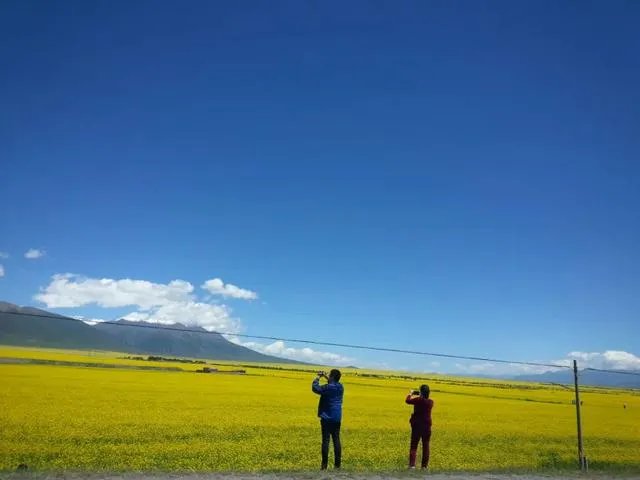 青海有哪些经典的景点？