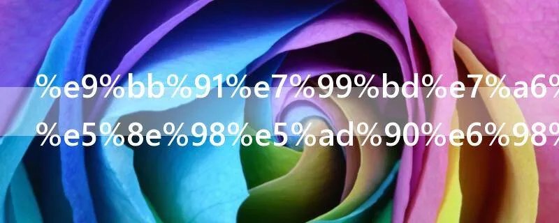 黑白禁区车厘子是警察吗