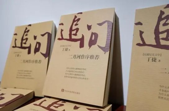 追问里的官员原型是谁安娜