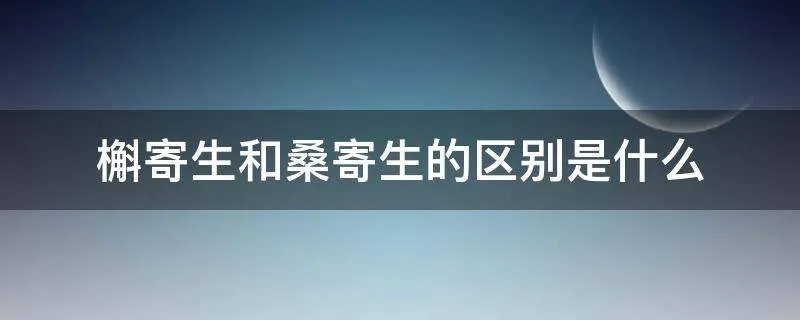 槲寄生和桑寄生的区别是什么