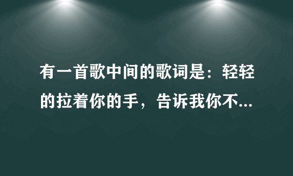 有一首歌中间的歌词是：轻轻的拉着你的手，告诉我你不再孤单。请问一下这首歌叫什么名？？