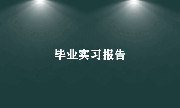 毕业实习报告
