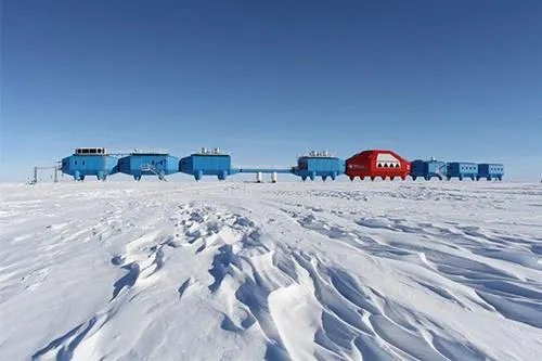 南极洲发现的神秘物种Ningen真的存在吗？