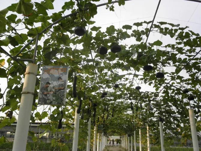 塔山英雄团好吗？？？