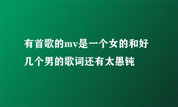 有首歌的mv是一个女的和好几个男的歌词还有太愚钝