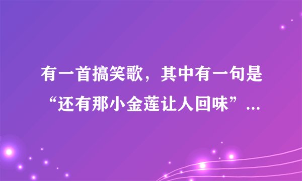 有一首搞笑歌，其中有一句是“还有那小金莲让人回味”谁知道啊