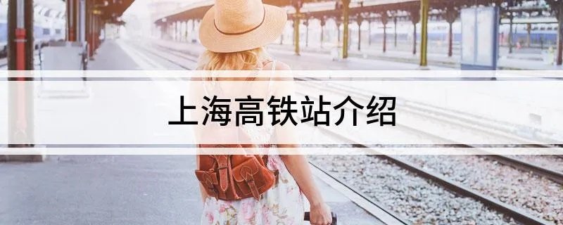上海高铁站介绍