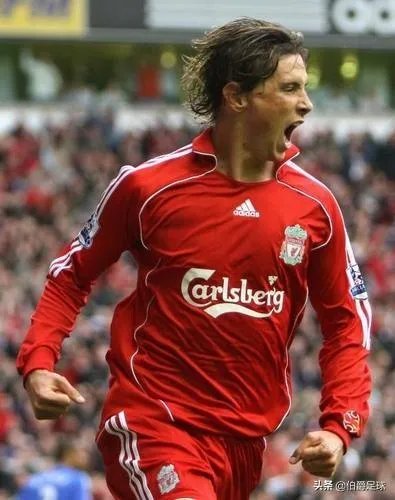 大家怎样评价费尔南多托雷斯的职业生涯，大家认为巅峰的托雷斯和巅峰的C罗谁更有杀伤力？