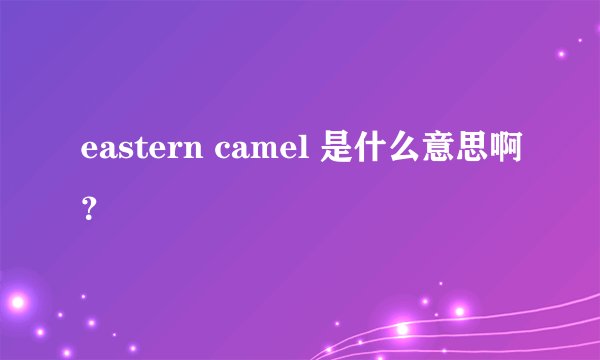 eastern camel 是什么意思啊？