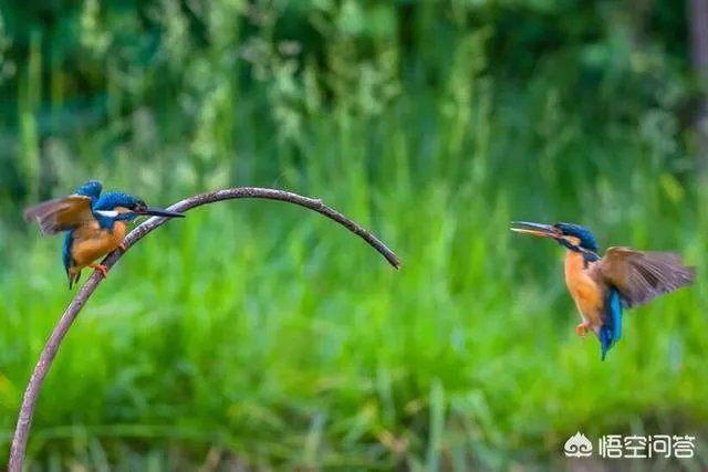 济宁有哪些旅游景点？