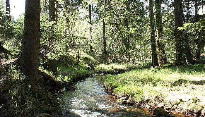 什么是负离子 负离子是什么