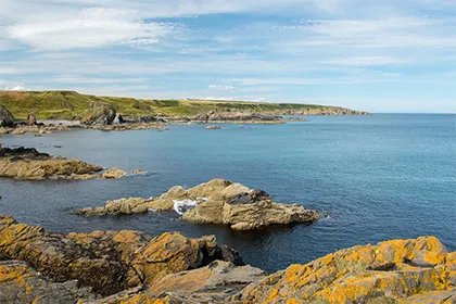 2024年清明是几月几号几点几分_清明不可以做什么