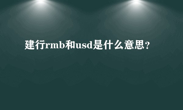 建行rmb和usd是什么意思？